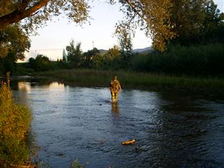 il fiume Sieve (20)...